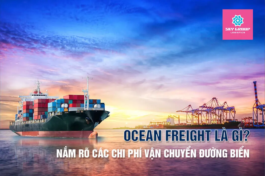 Ocean Freight là gì? Nắm rõ các chi phí vận chuyển đường biển không chỉ là một câu hỏi thú vị mà còn là một yêu cầu cần thiết cho những ai tham gia vào hoạt động xuất nhập khẩu hàng hóa.